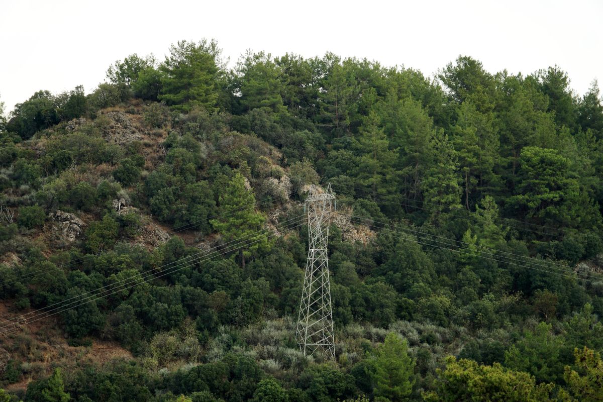 Transmission lines crossing a forested hillside